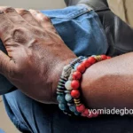 Blue Tiger Eye beads and imitation coral beads